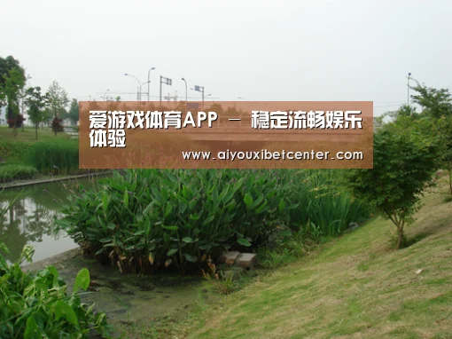 案例展示四(图1)