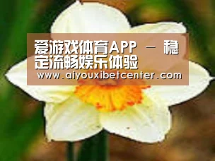 产品名称四