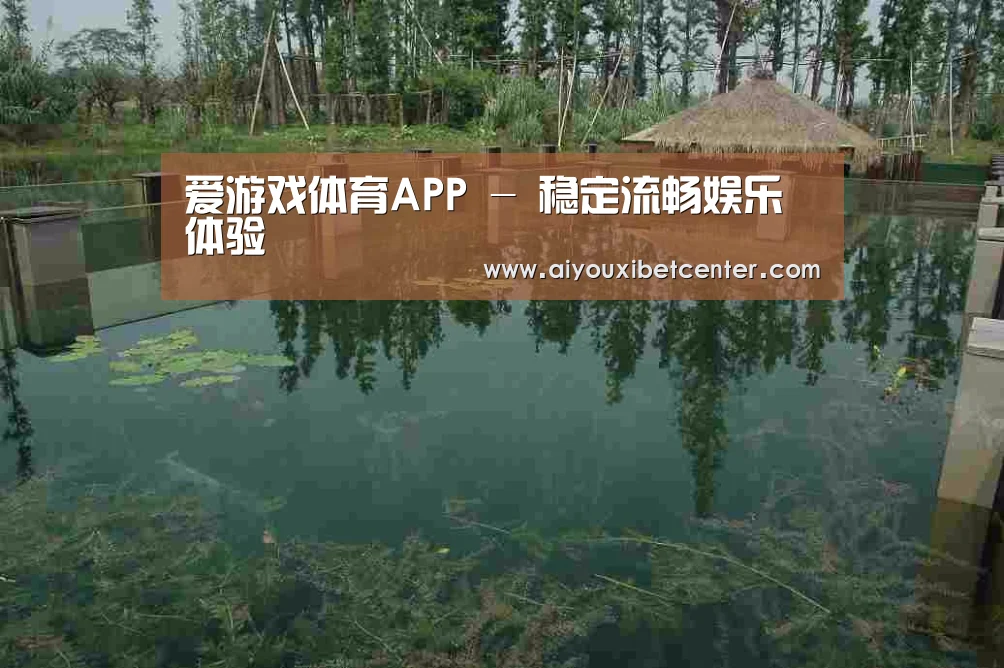 案例展示二