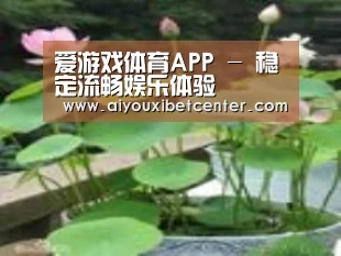 产品名称一