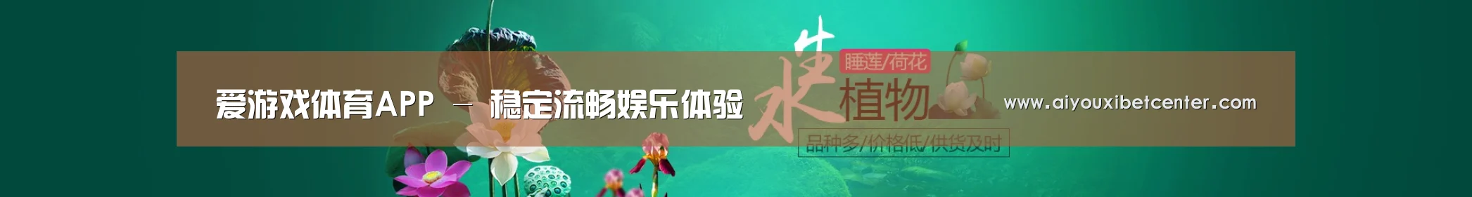 鲜花水草花卉网站模板