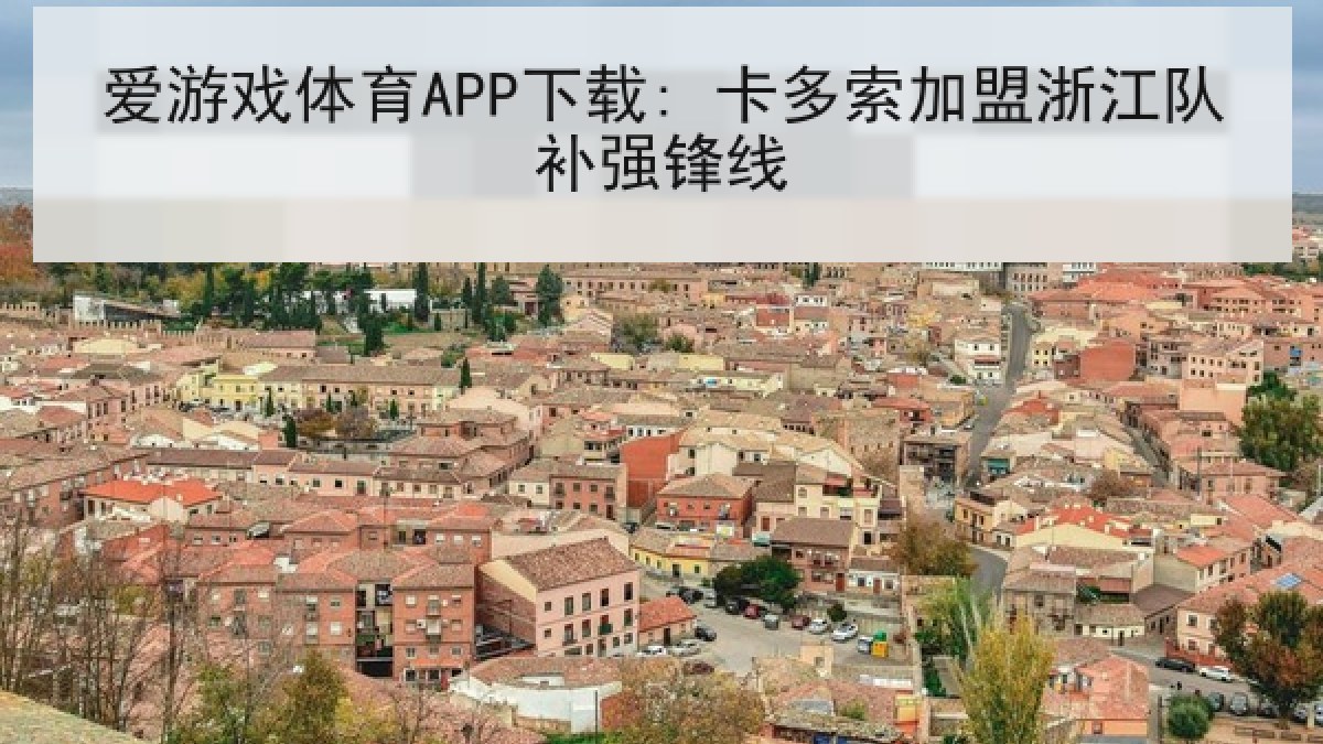 爱游戏体育APP下载: 卡多索加盟浙江队补强锋线