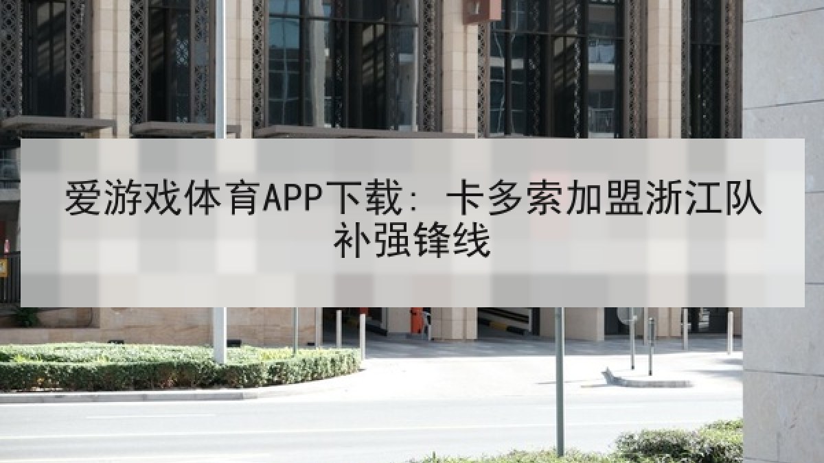 爱游戏体育APP下载: 卡多索加盟浙江队补强锋线