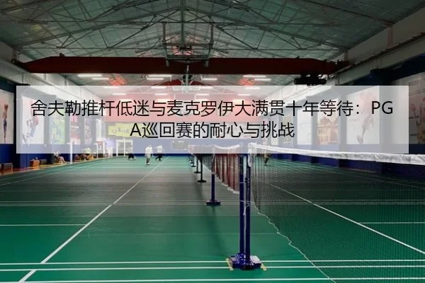 she-fu-lei-tui-gan-di-mi-yu-mai-ke-luo-yi-da-man-guan-shi-nian-deng-dai-xun-hui-sai-de-nai-xin-yu-tiao-zhan-3-370.jpg