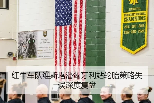 红牛车队维斯塔潘匈牙利站轮胎策略失误深度复盘