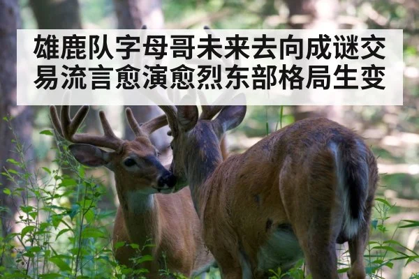 雄鹿队字母哥未来去向成谜交易流言愈演愈烈东部格局生变